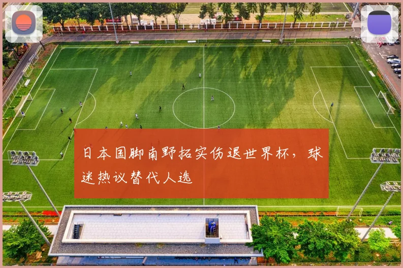 日本国脚南野拓实伤退世界杯，球迷热议替代人选
