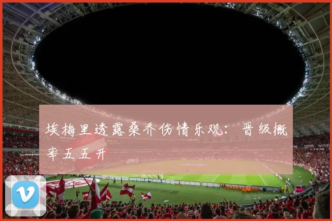 埃梅里透露桑乔伤情乐观：晋级概率五五开